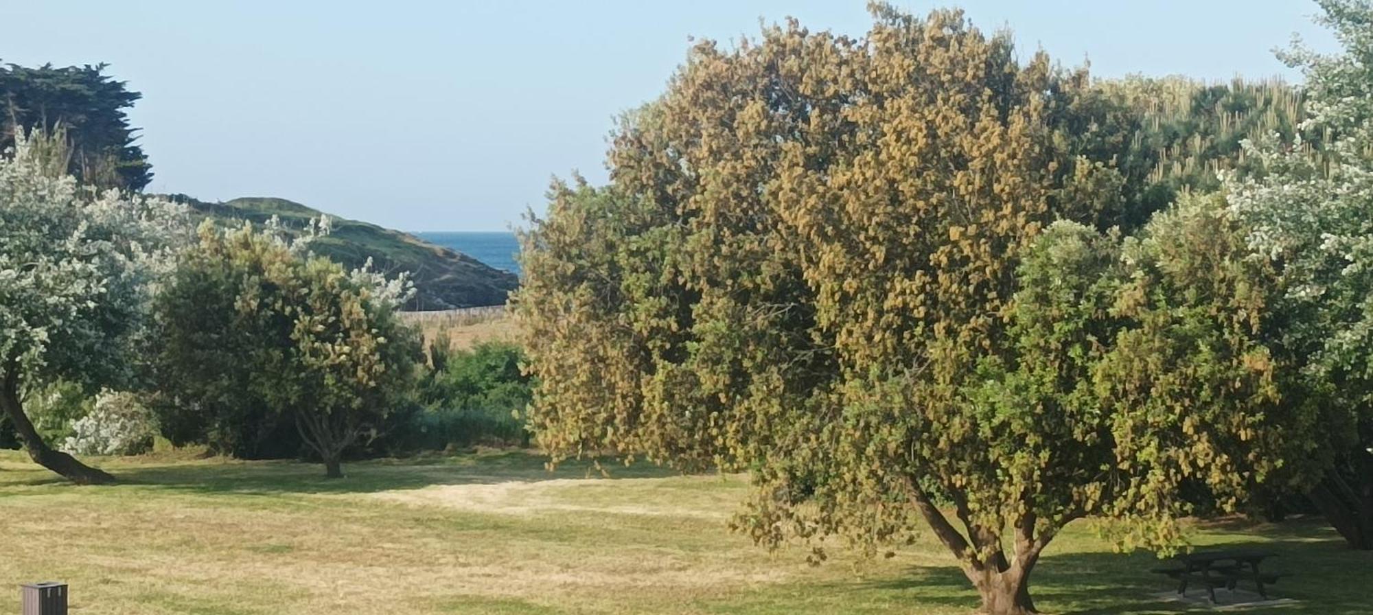 Appartement Vue Mer Exceptionnelle A 100M Tres Belle Plage Сен-Жилдас-дьо-Руис Екстериор снимка